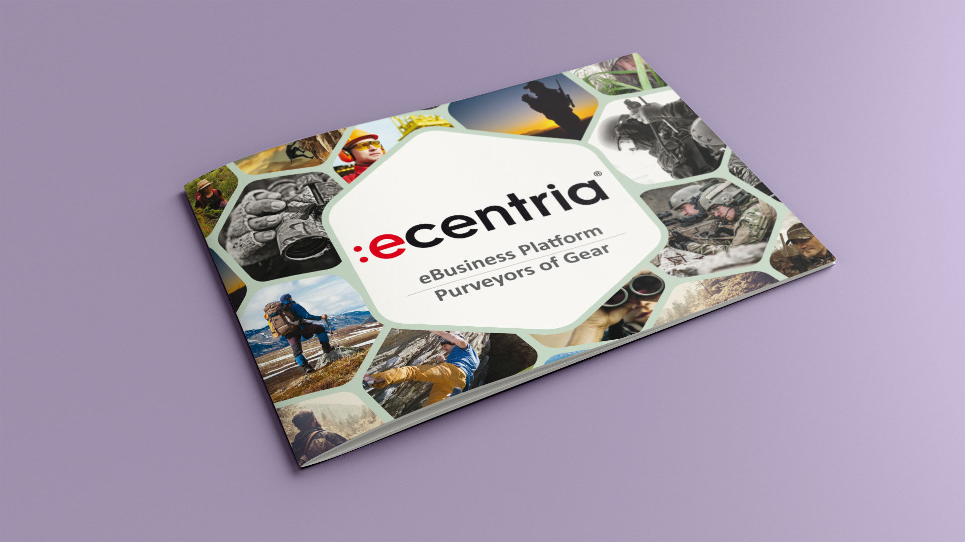 Ecentria Executive Summary Cover
