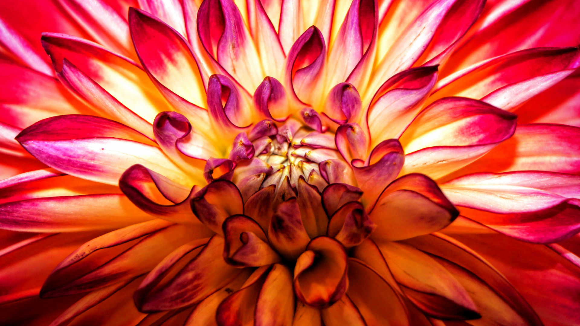 Eruption